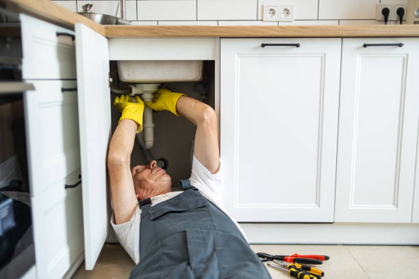 Best Plumbing Inspection Services  in Loudon, TN