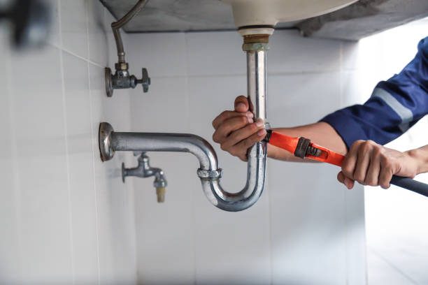 Best Local Plumber Services  in Loudon, TN
